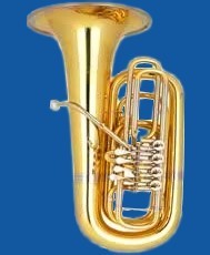 Tuba Tuba